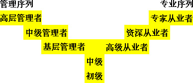 职业发展